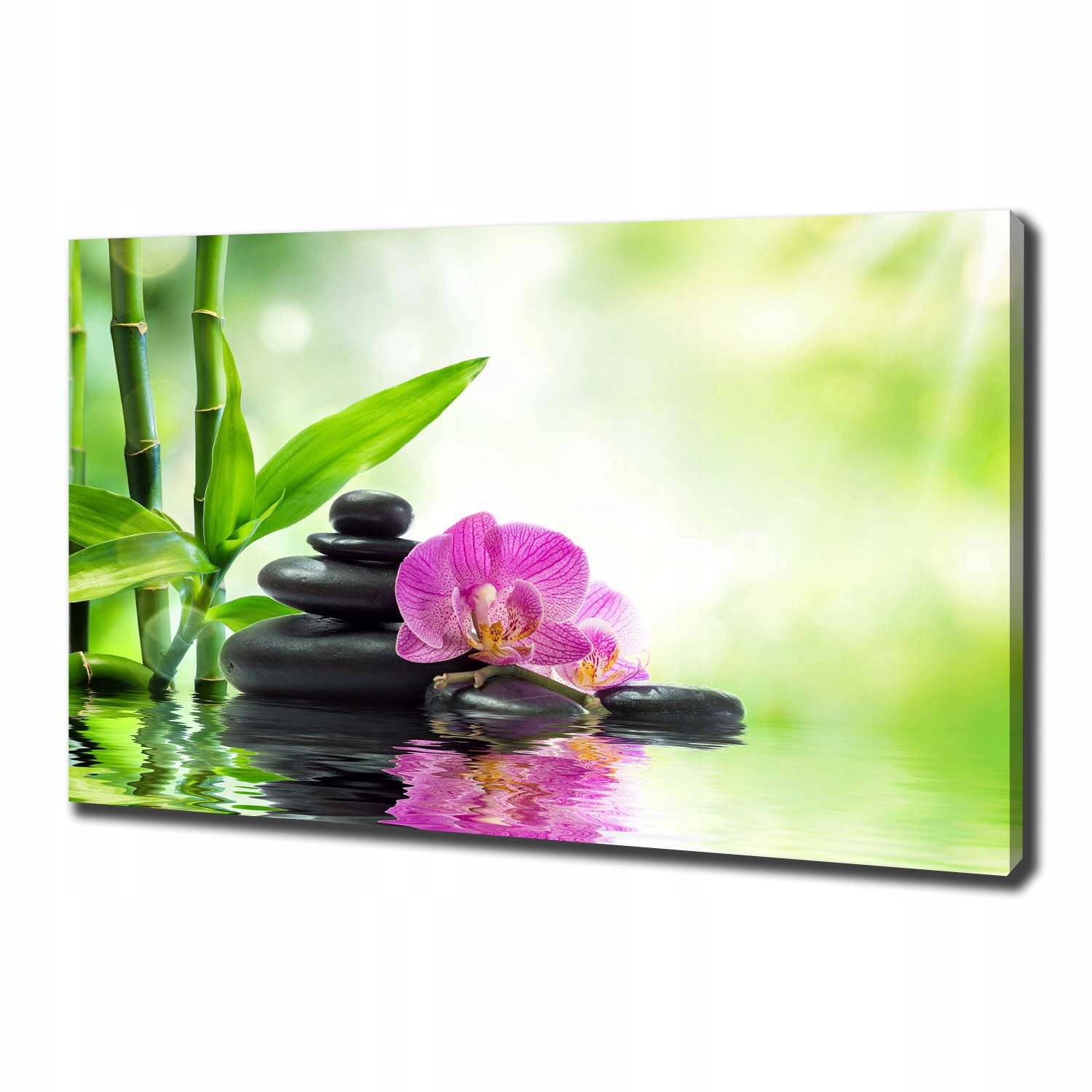 

Foto obraz canvas na ścianę Orchidea 100x70 cm