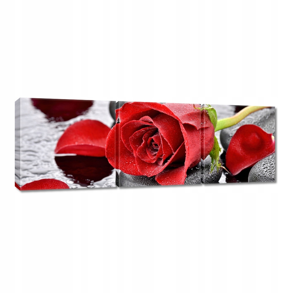 

Obrazy 120x40 Czerwone róże Kamienie