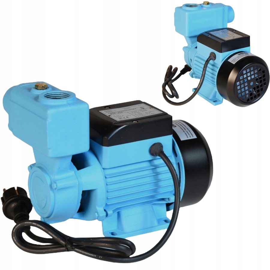 Pompa Wzp 250 do Wody Studni Podlewania Hydroforowa Ogrodowa +zawór Zwrotny