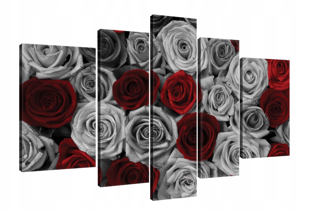 Obraz 170x100 Ruže červené šedé kvety monochromatické akcent červená