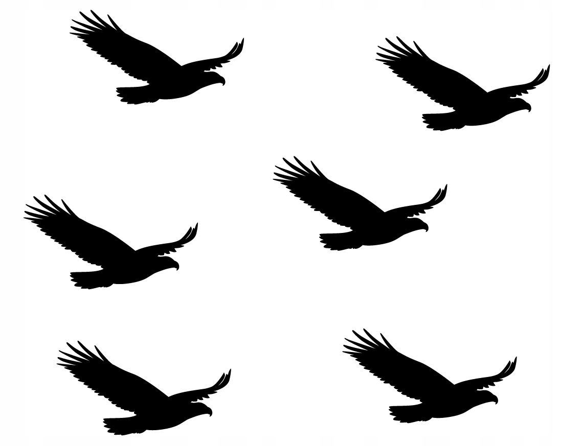 

Naklejki Odstraszające Ptaki Zestaw na szybę 6szt.