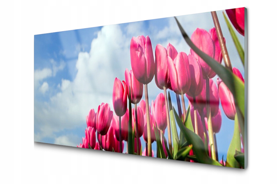 Dekoratívny sklenený panel Tulipán 100x50