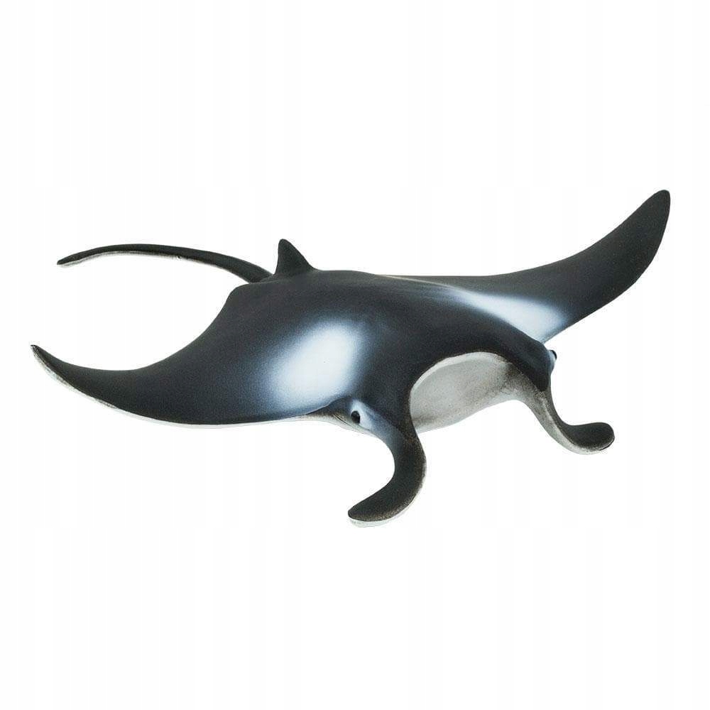 

Płaszczka Manta Manta Ray Safari Ltd. 277729
