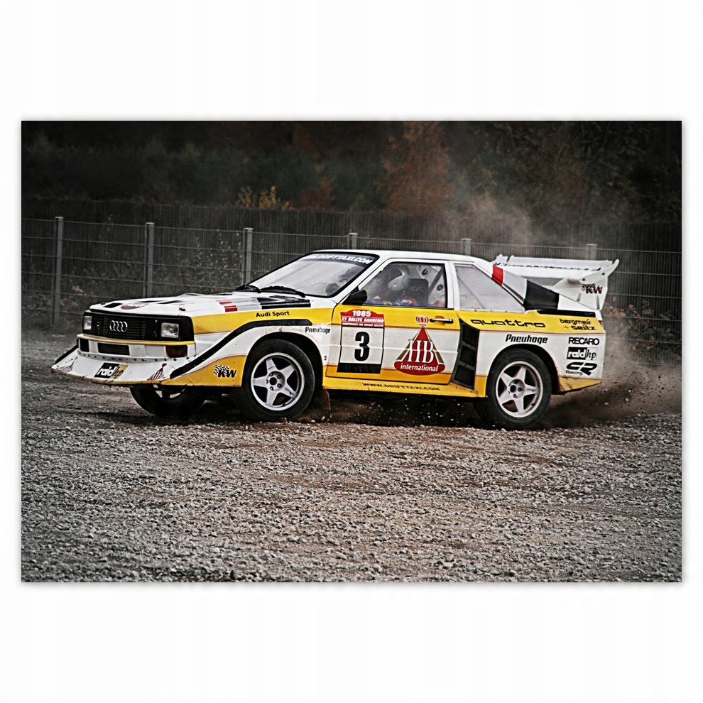 

Fototapety flizelina 312x219 Audi Quattro Drift