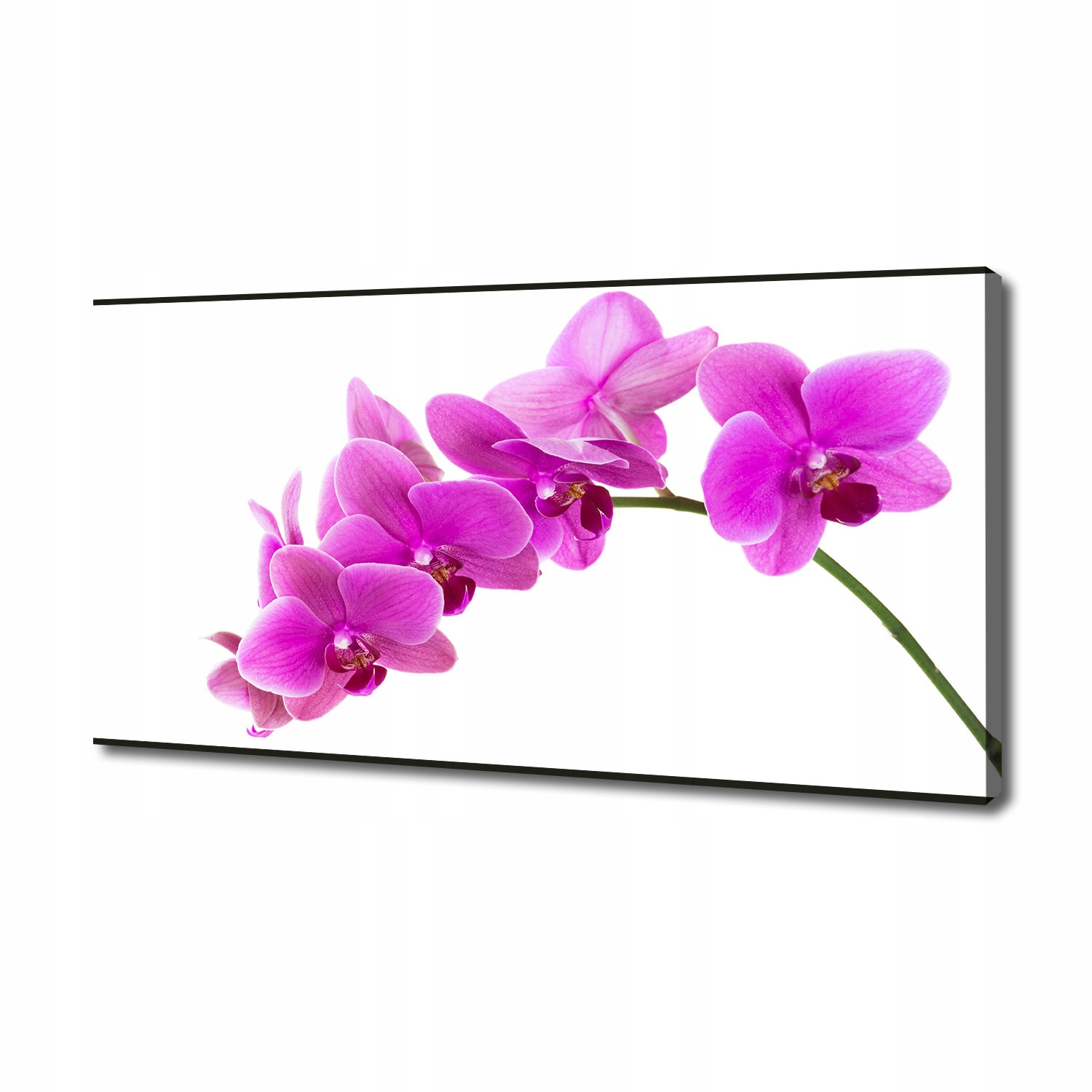 

Foto obraz na płótnie Różowa orchidea 140x70 cm
