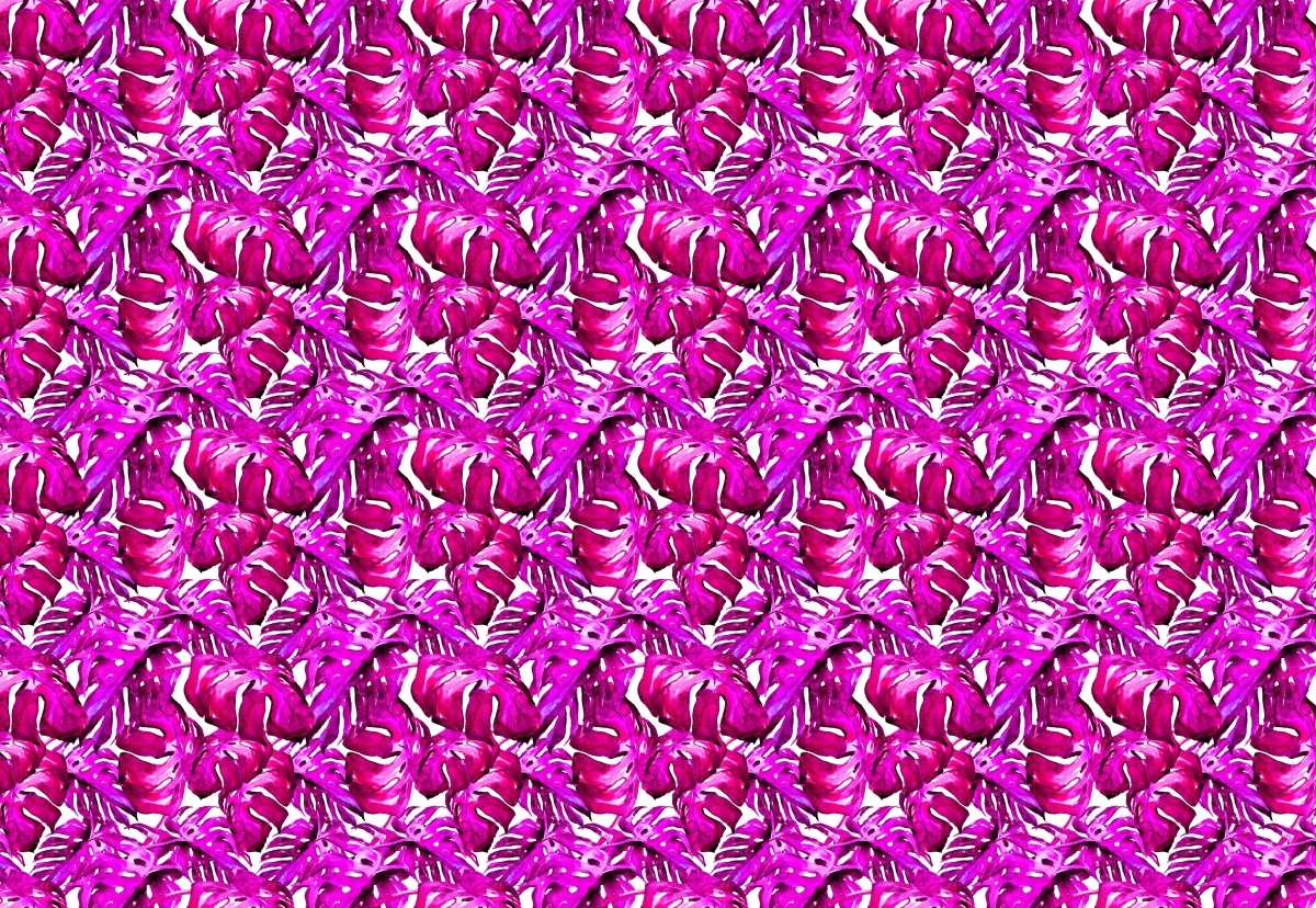 

Fototapeta Flizelinowa Tropikalne liście 152x104