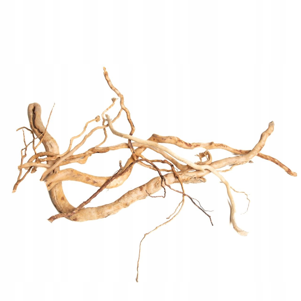 Levně Dekorativní Kořen Single Branch Do Akvária Přírodní Dřevo 10-60 CM 1 Kg