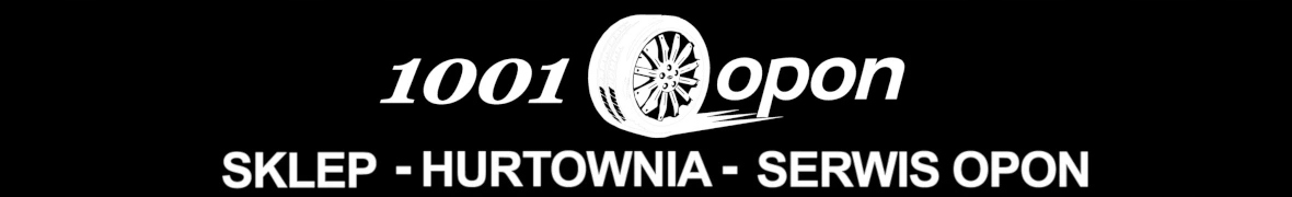 1x OPONA HANKOOK WINTER I*CEPT EVO2 W320 215/55R18 Model Winter i*cept evo2 W320