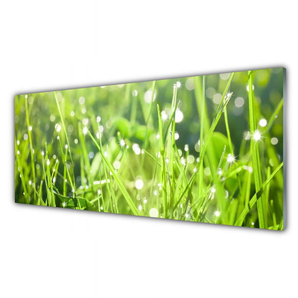 

Fotoobraz nowoczesny 125x50 Trawa Roślina Natura