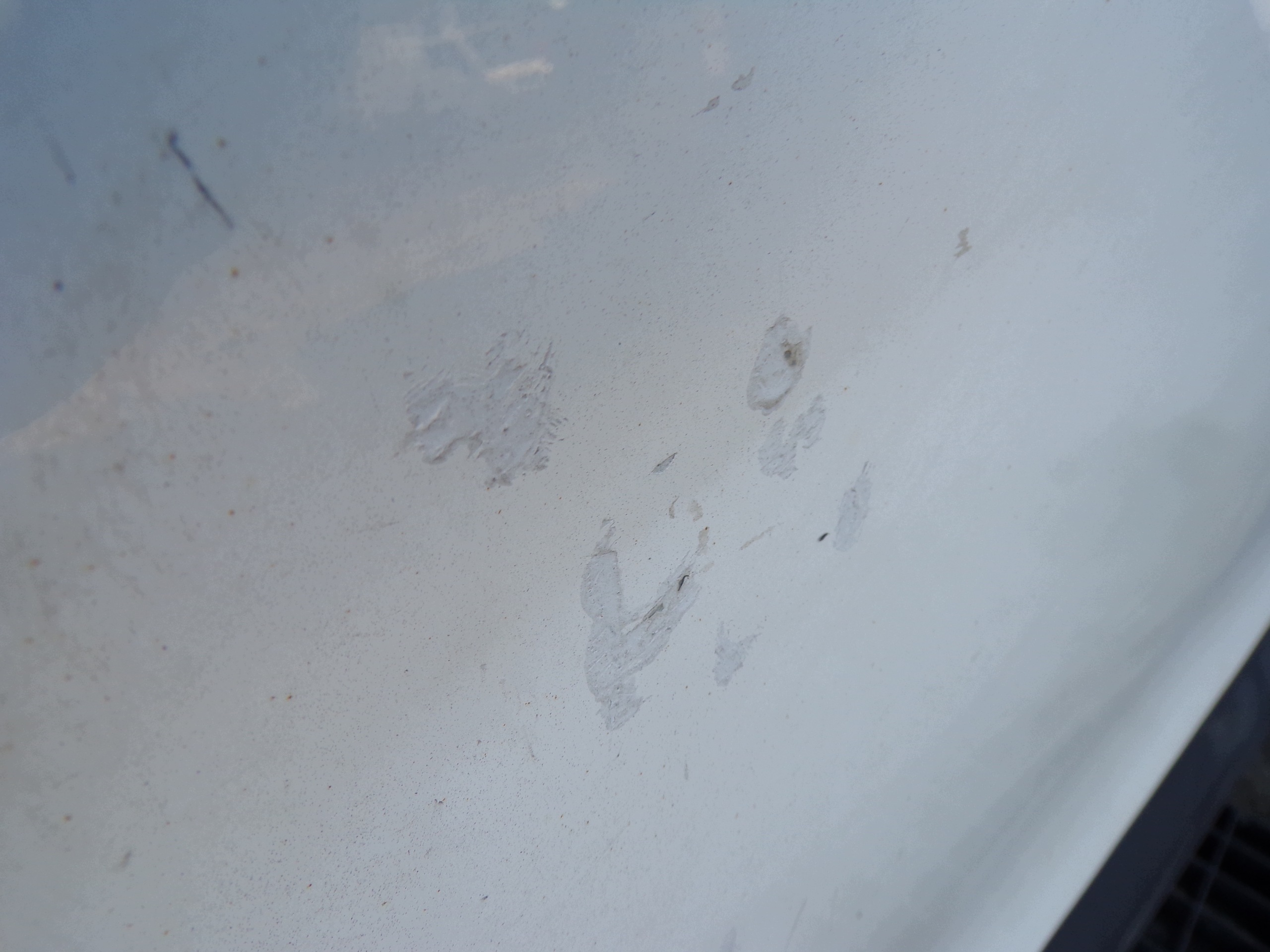 door left front PEUGEOT PARTNER 2 II BERLINGO (R1)
