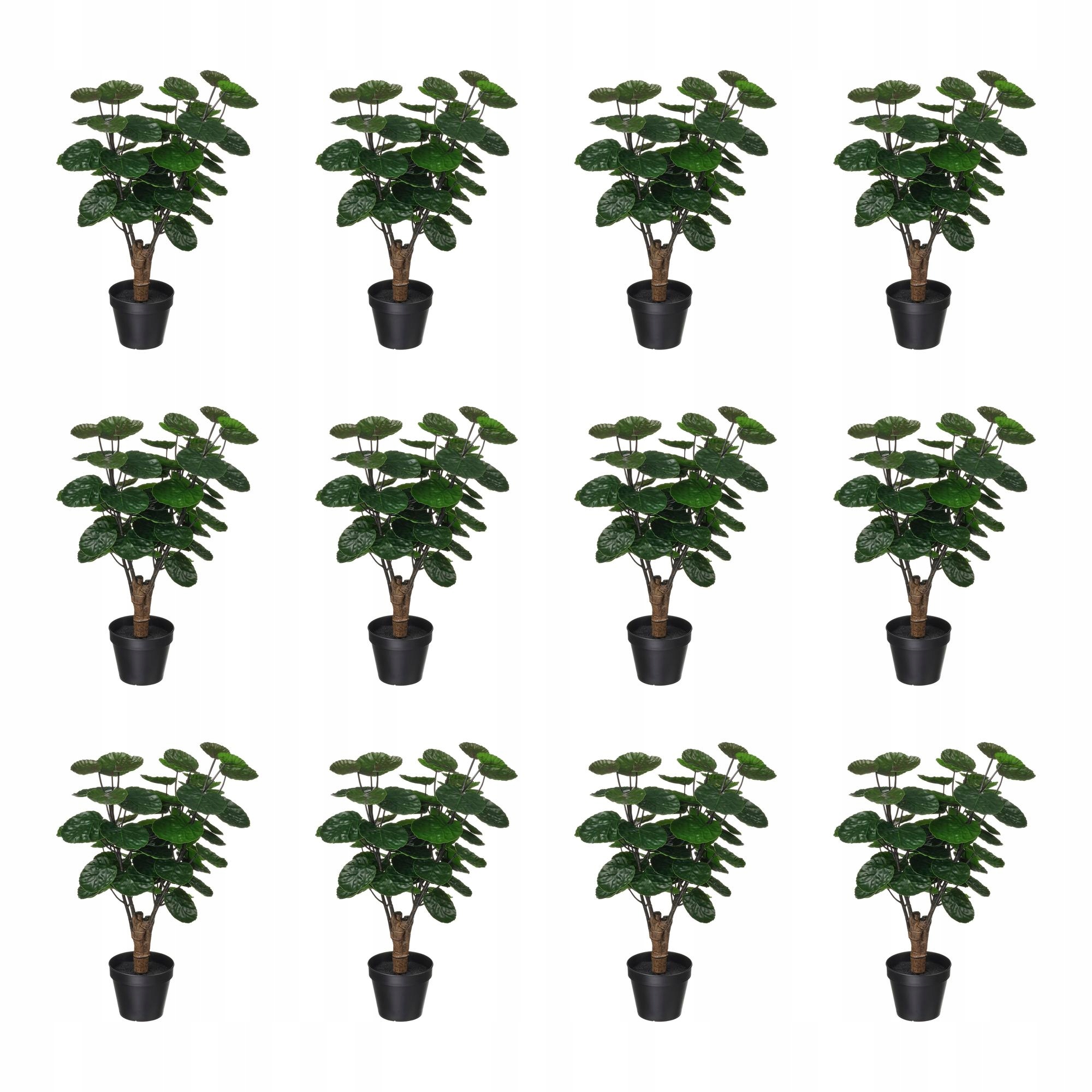 12 szt. Sztuczna roślina doniczkowa Aralia 12 cm do wnętrz i na zewnątrz