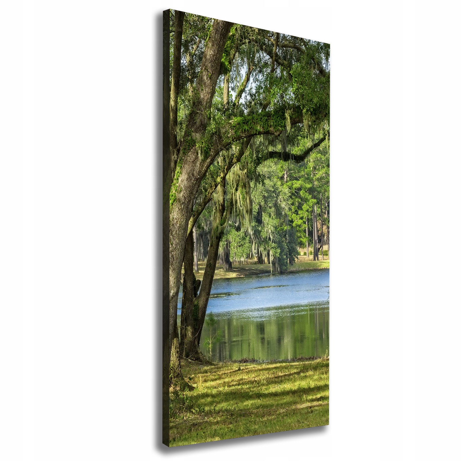 

Foto obraz na płótnie Jezioro w parku 50x125 cm