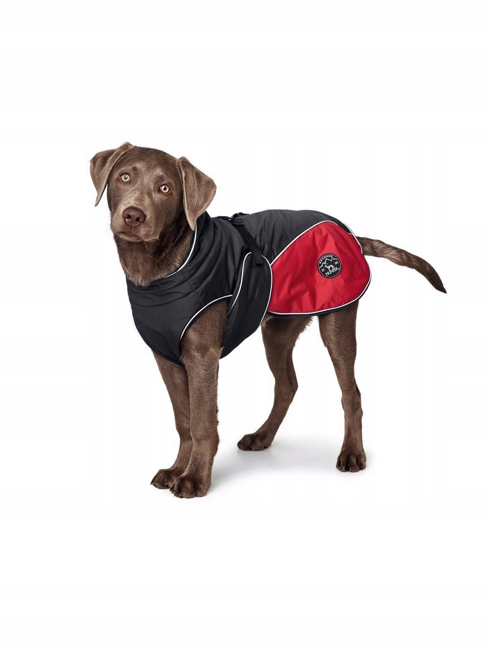 Levně Hunter Coat Uppsala Cozy 40 CM Anthracite/red