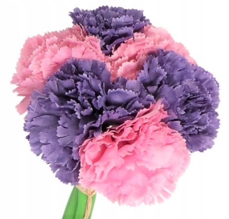

Goździk Bukiet Goździków Sztuczne Kwiaty 24CM 6GAŁ
