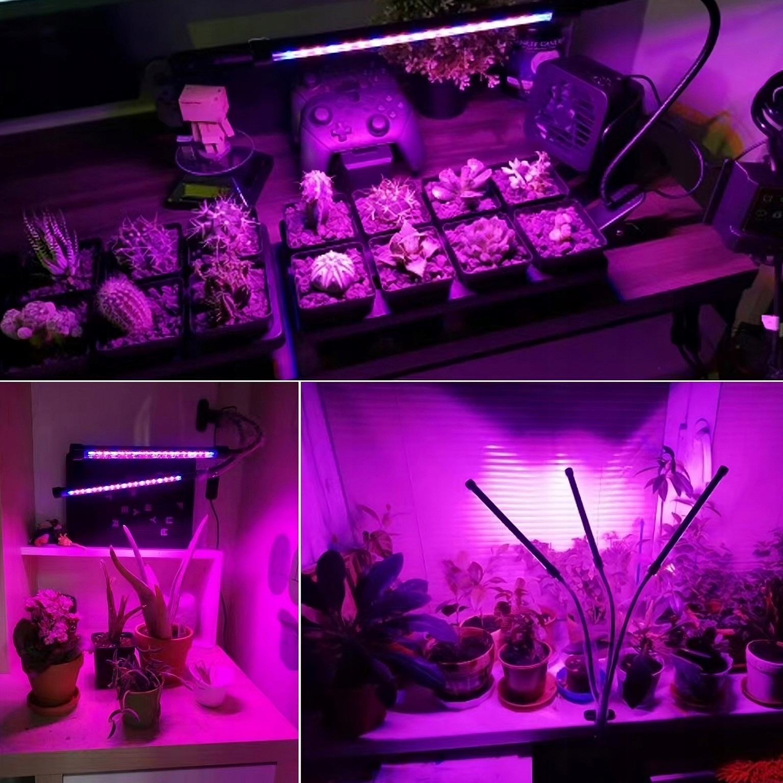 LAMPA DO WZROSTU UPRAWY ROŚLIN LED GROW LIGHT TIMER 9 POZIOMÓW ŚWIECENIA Kąt świecenia 180°