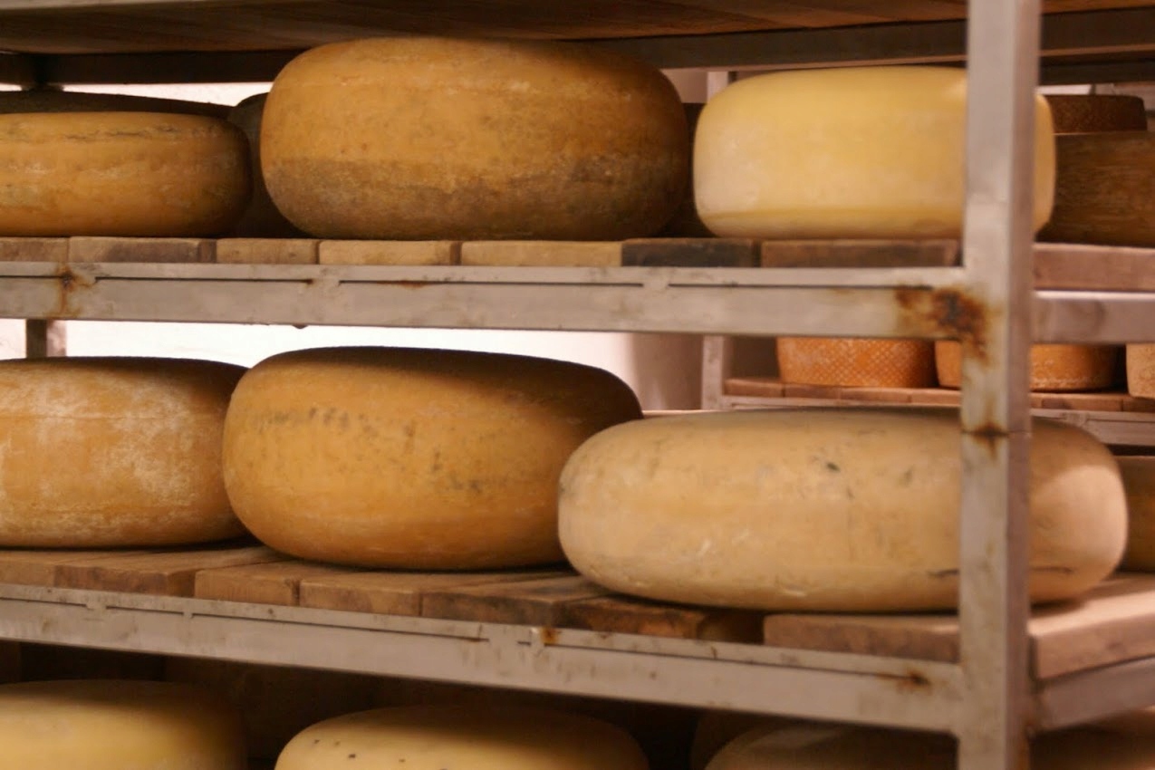 Zestaw polskich serów na deskę 1 kg 7 serów sery kozie krowie owcze Farmy