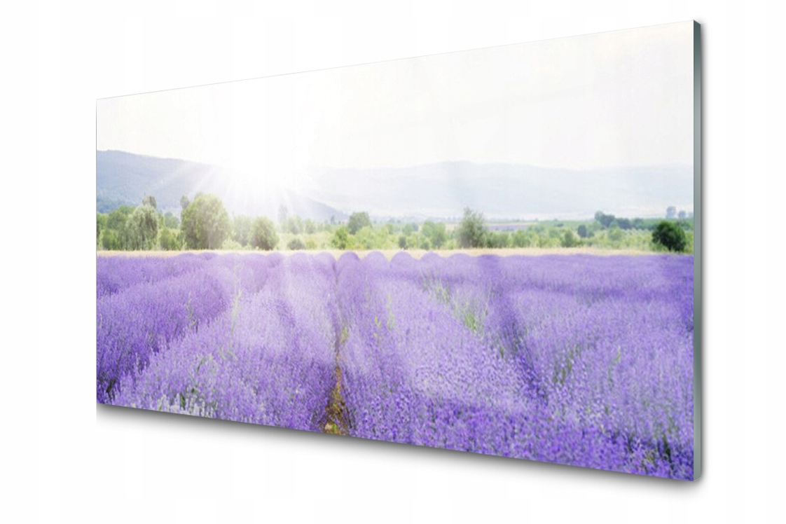 

Panel szklany Płytka Pole Lawendy Łąka 120x60