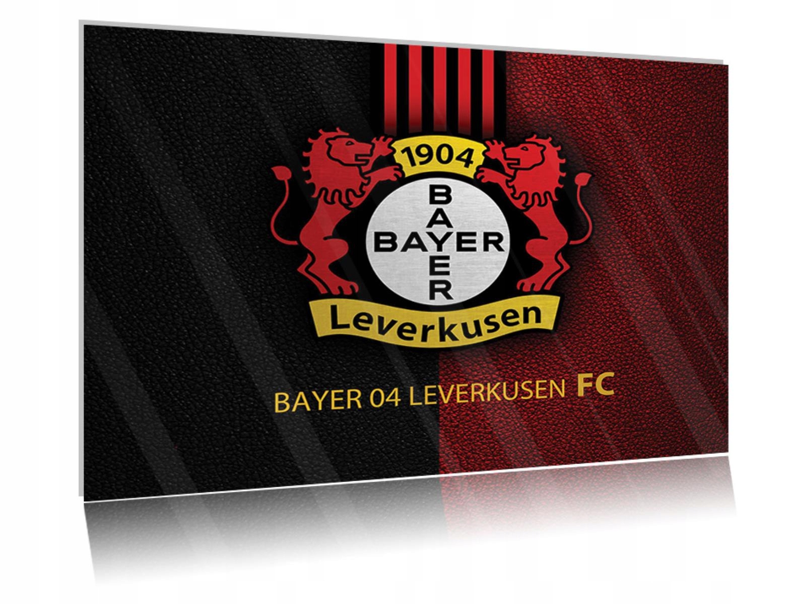 

Obraz szklany na szkle Bayer Leverkusen 02 80x60
