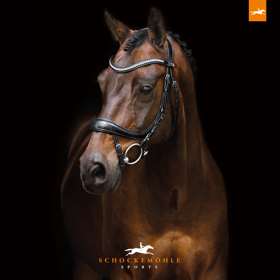 Schockemöhle Ogłowie anatomiczne Beta X-full