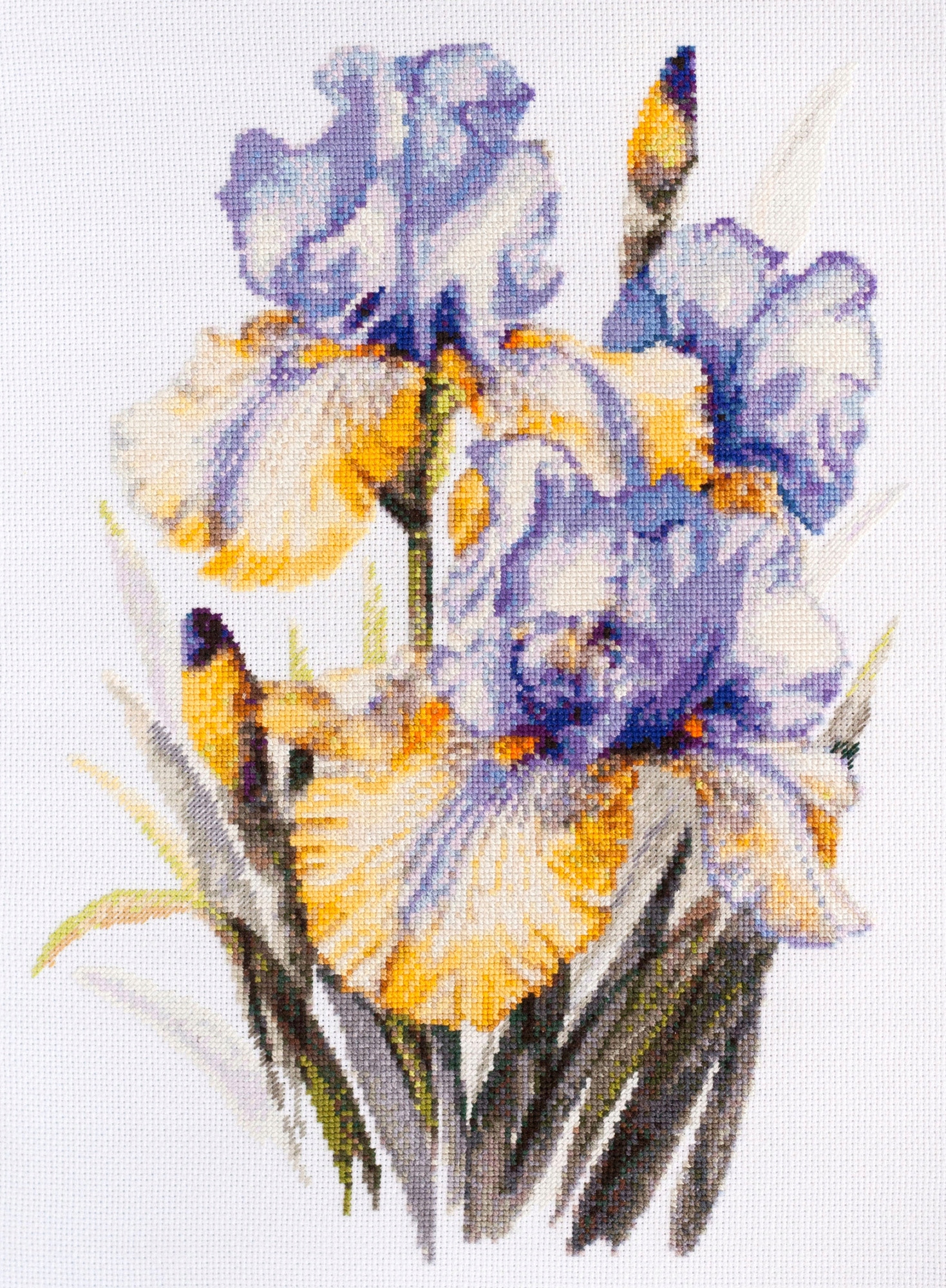 Sada křížkového stehu "Irises" vyšívací sada Diy