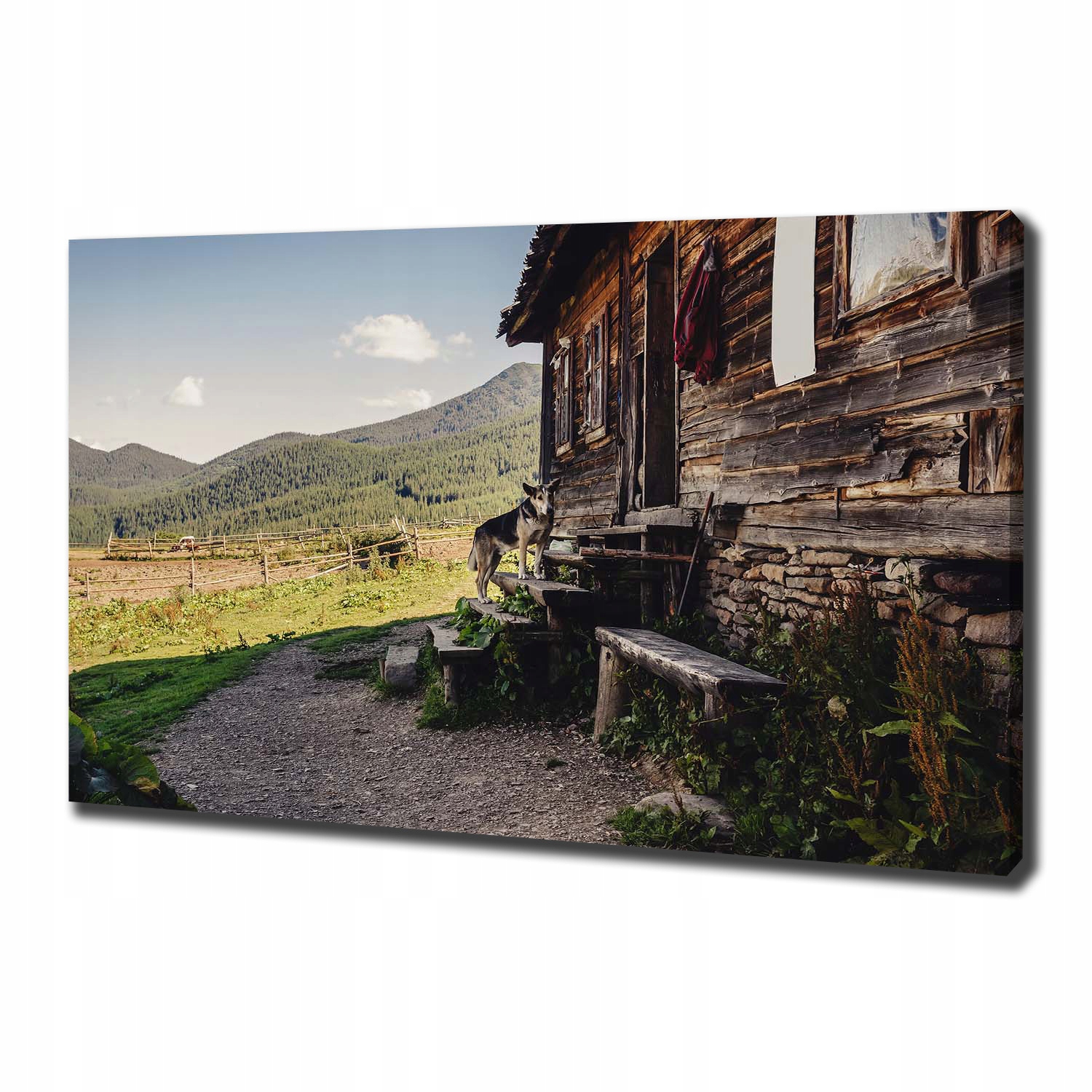 

Foto obraz na płótnie Drewniany dom góry 100x70 cm
