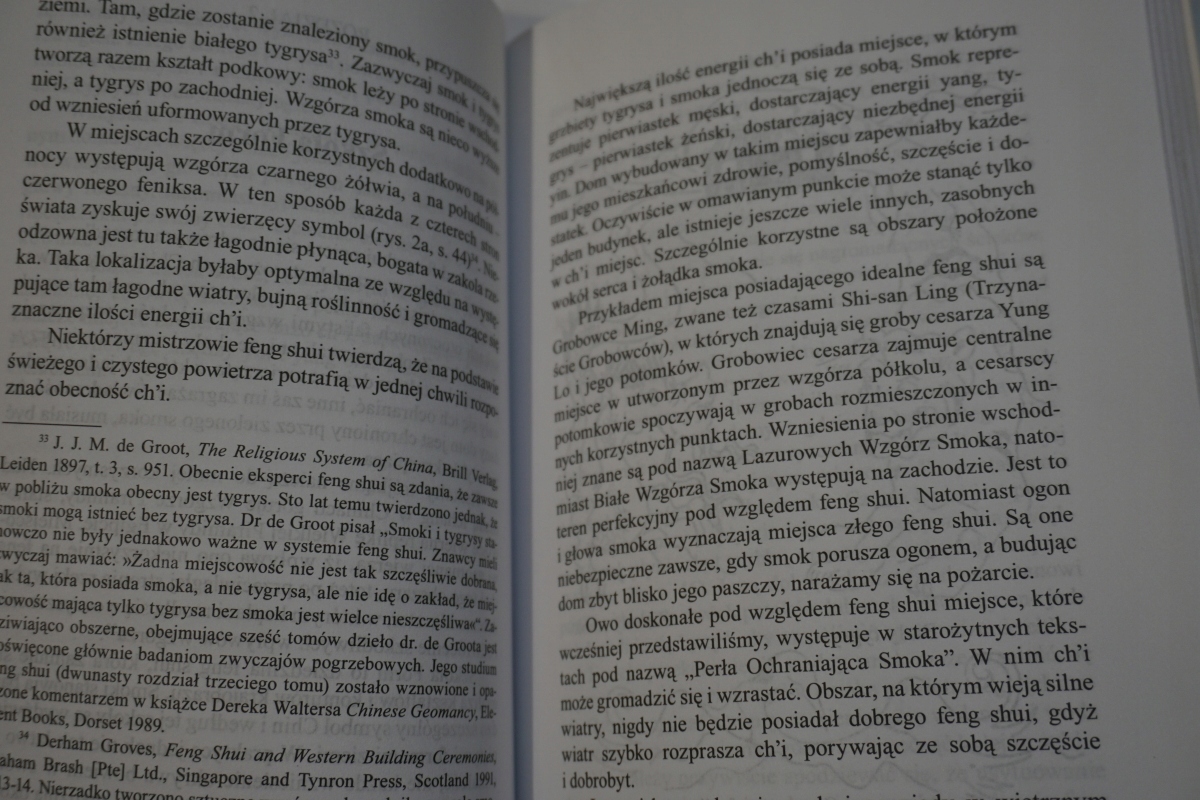 FENG SHUI DROGA DO SUKCESU RICHARD WEBSTER Rok wydania 2016