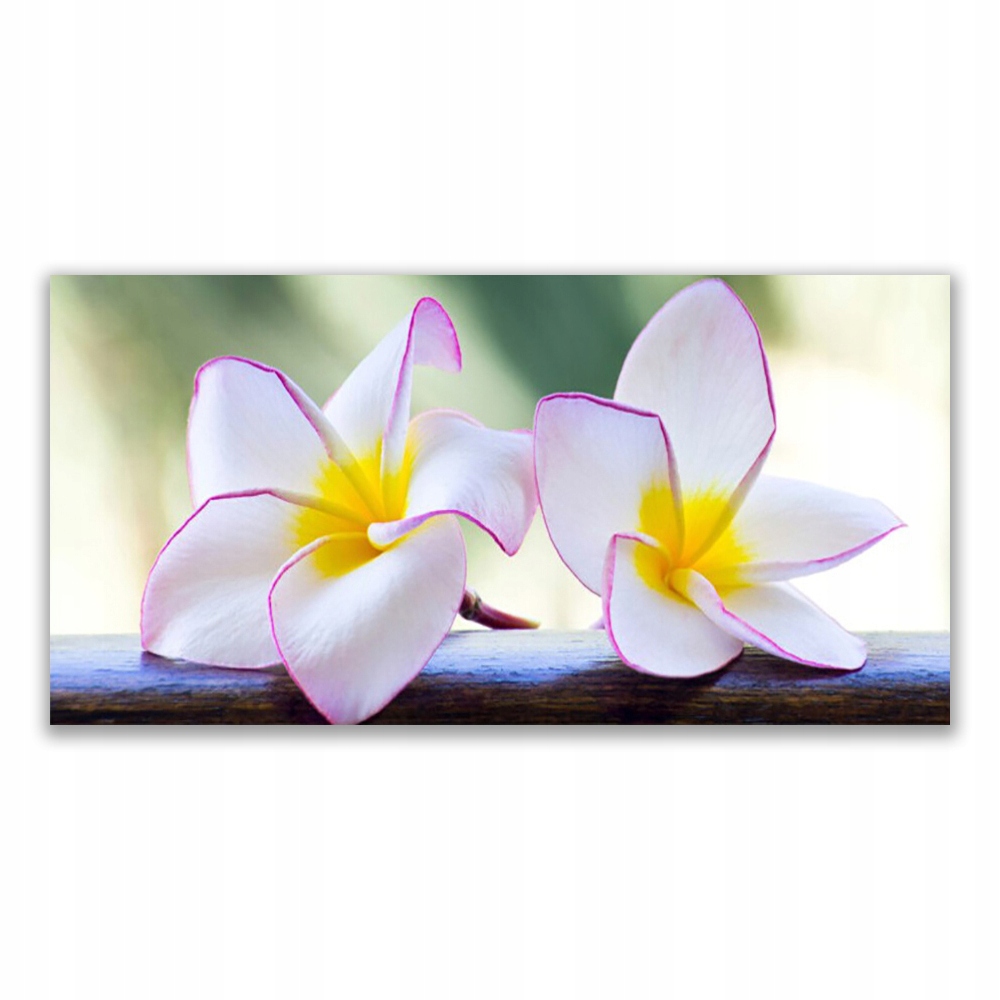 

Fotoobraz nowoczesny 140x70 Kwiaty Płatki Plumeria