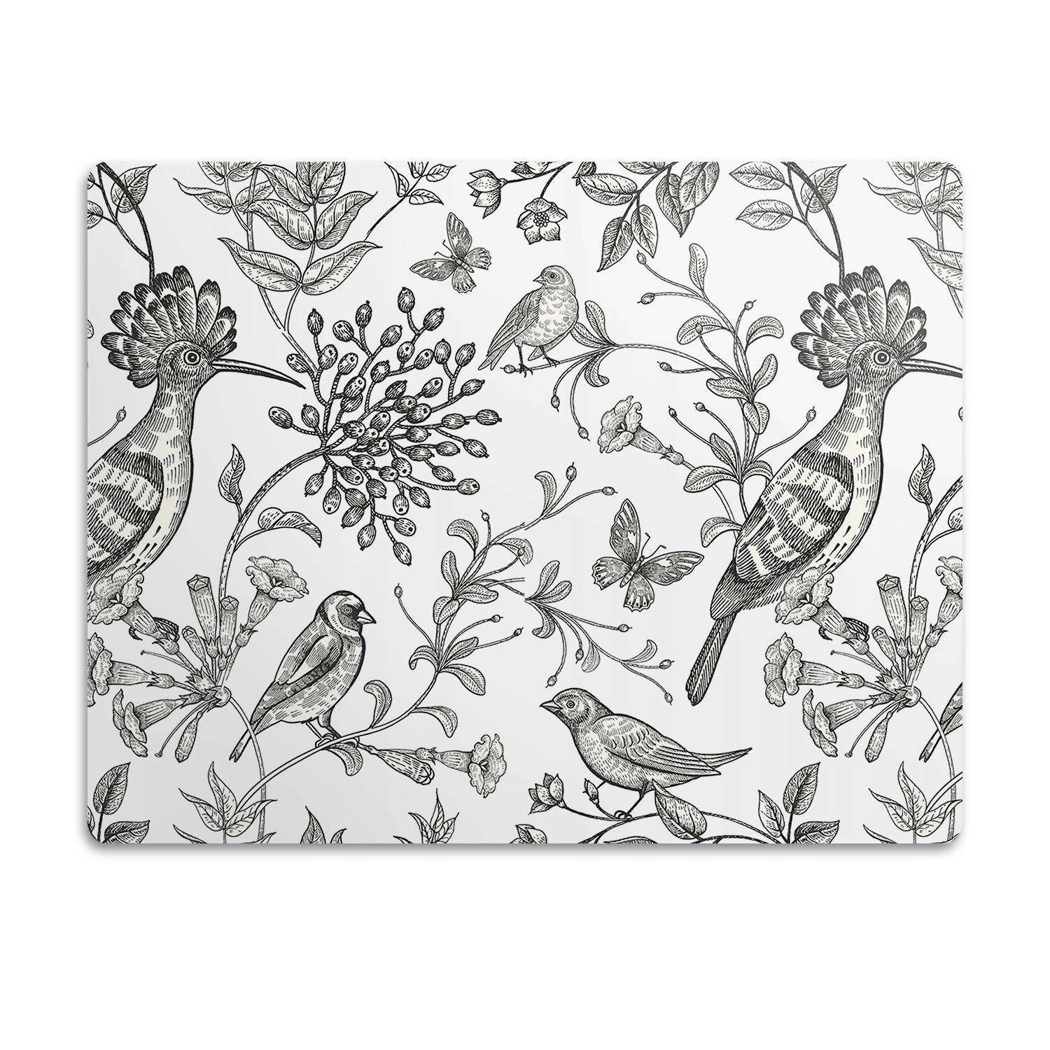 Podložka pod misku pro kočky psa Nakreslení ptáci 60x40