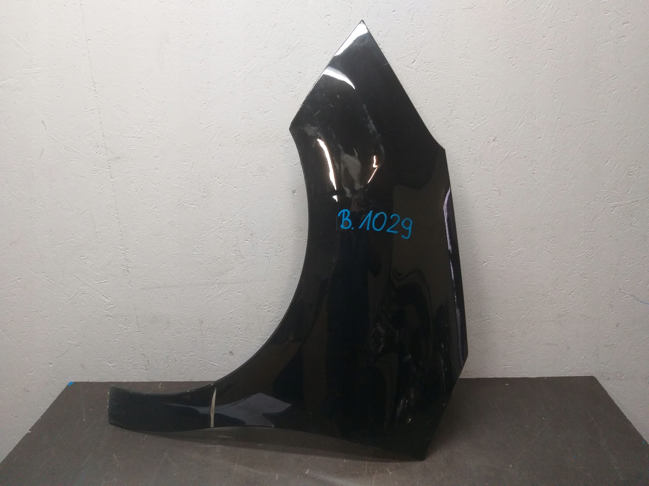 FENDER FRONT LEFT CITROEN C3 II 2 10
