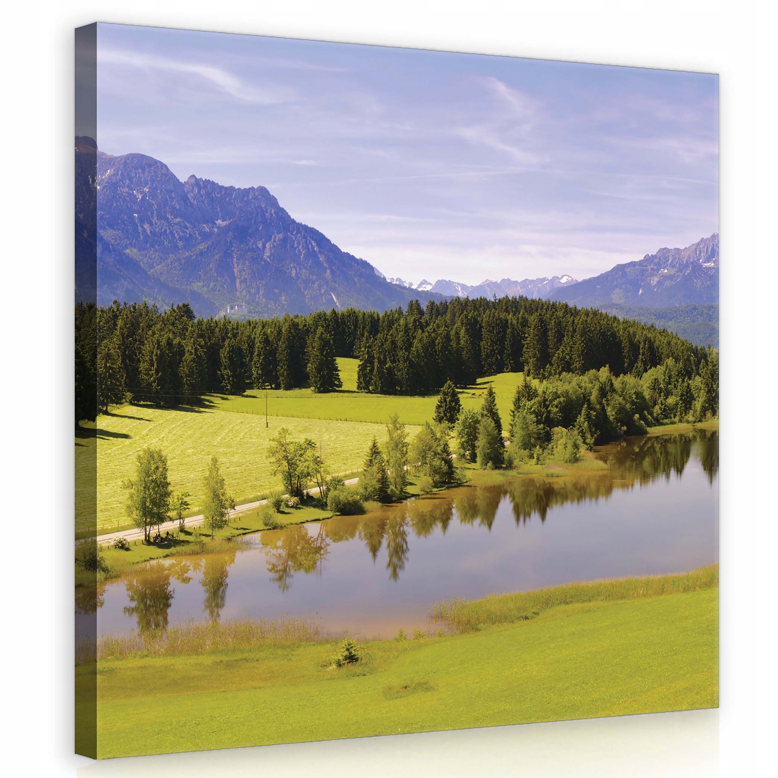 Obraz 80x80 Horská krajina jezero les louky klid příroda