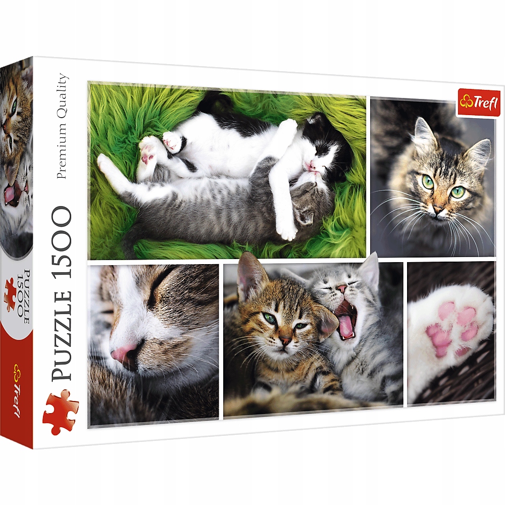 

Puzzle 1500 Zwierzęta Koty Kotki Kocie sprawy