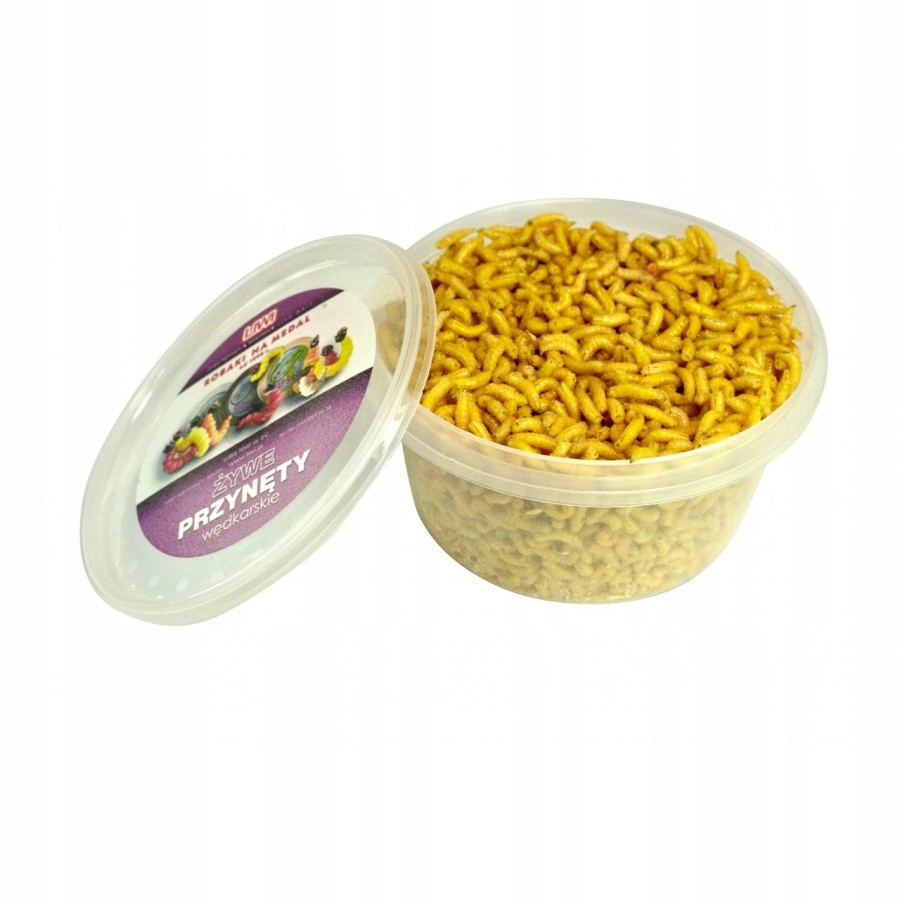 ŻYWA PRZYNĘTA ANGIELSKI ROBAK BIAŁY ŻÓŁTY 1 L Marka Liwi