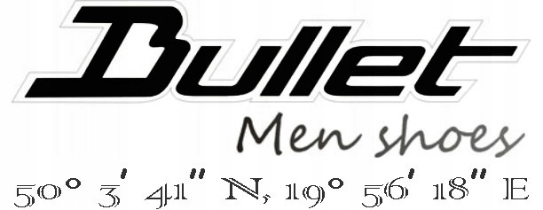 BUTY BULLET za kostką WYWIJANE brąz SKÓRA SZTYBLETY trzewiki CASUAL MEN 40 Materiał wkładki inny