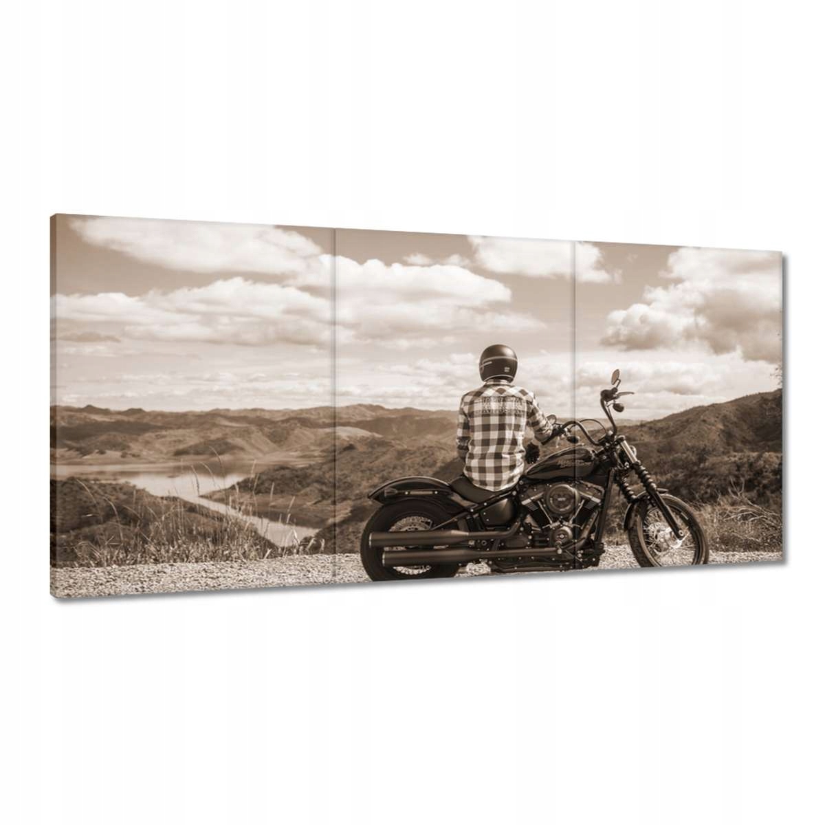 Obrazy 180x90 Harley Davidson Motocykel