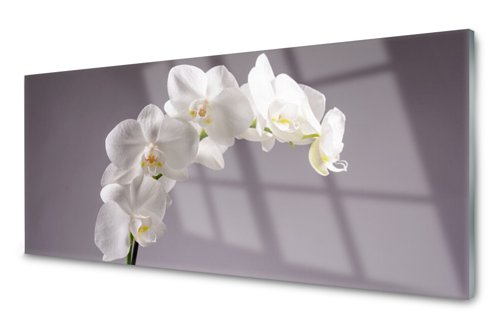 

Panel szklany do kuchni Kwiaty Roślina 125x50