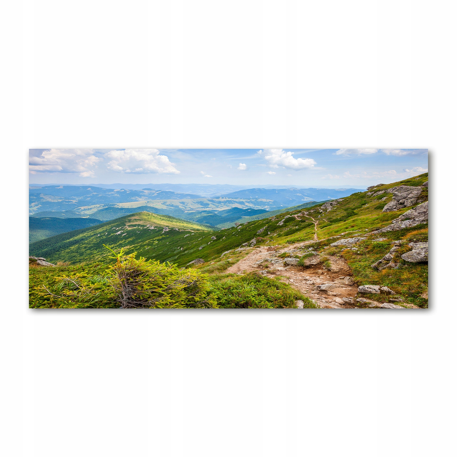 

Foto obraz akryl zdjęcie Zielone wzgórza 125x50 cm