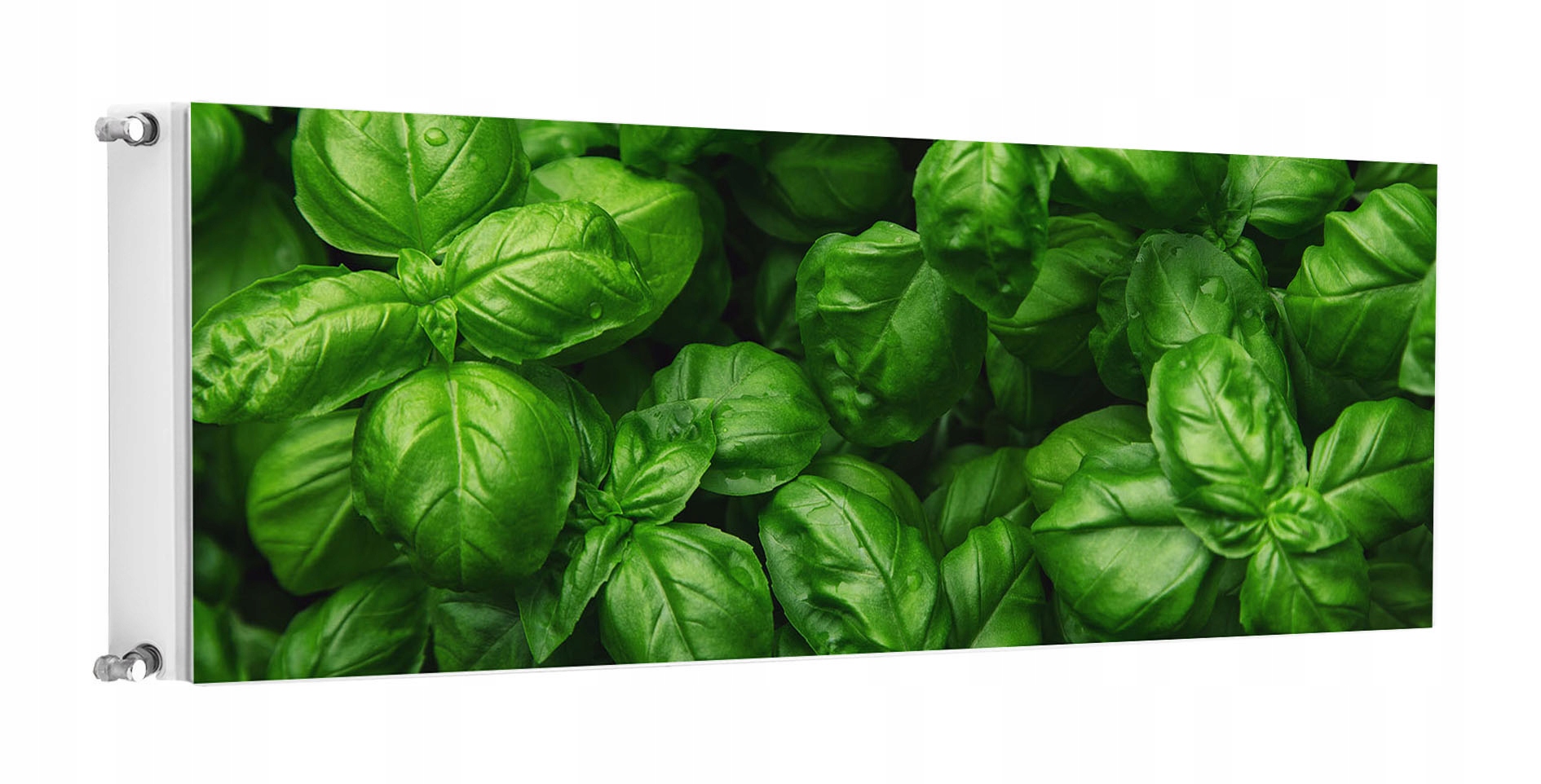 Magnetická Podložka Na Radiátor 160x60 Zelená Fototapeta