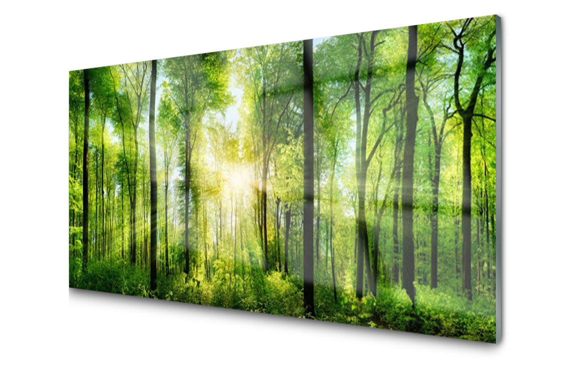 Sklenený panel dekor Les Dekor 120x60 Lepidlo