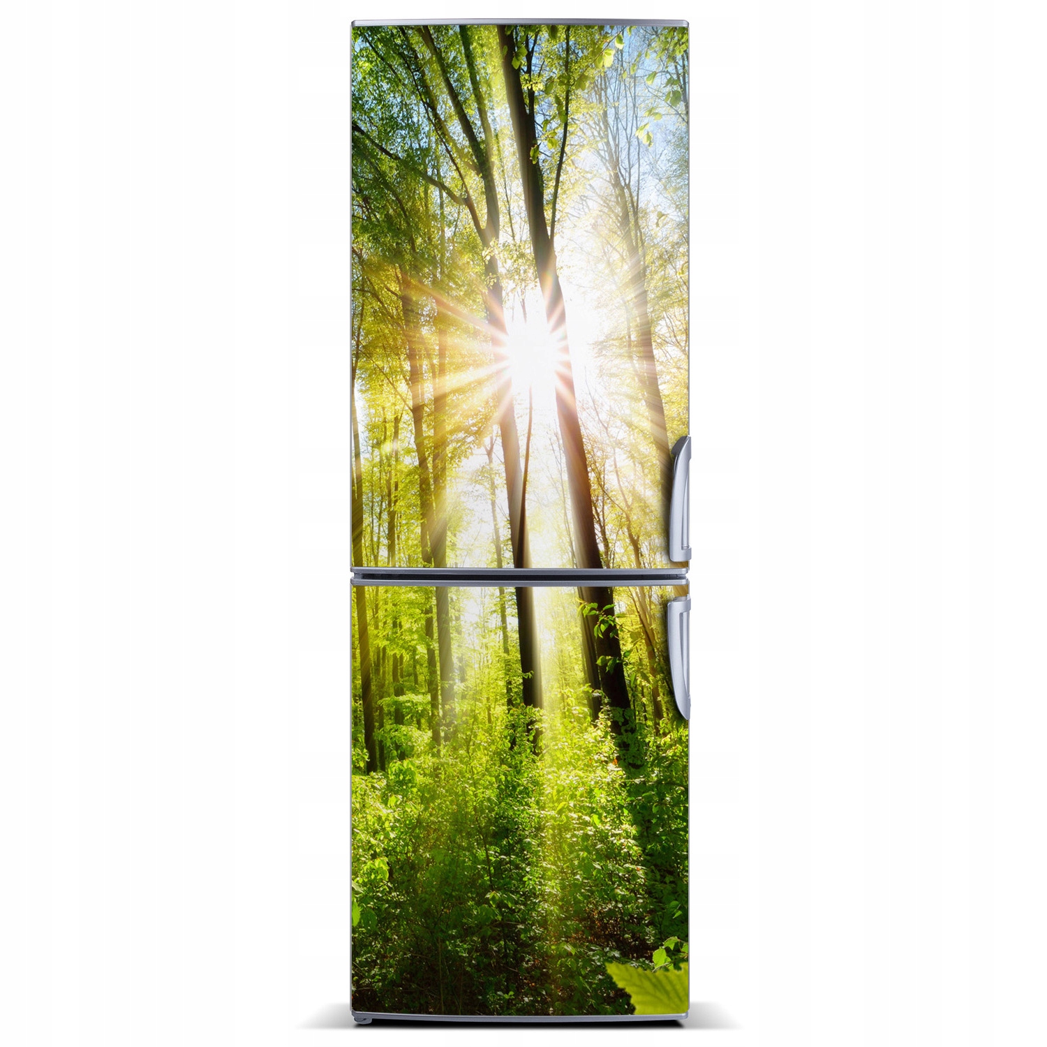 

Mata magnetyczna na lodówkę Słońce w lesie 60x180