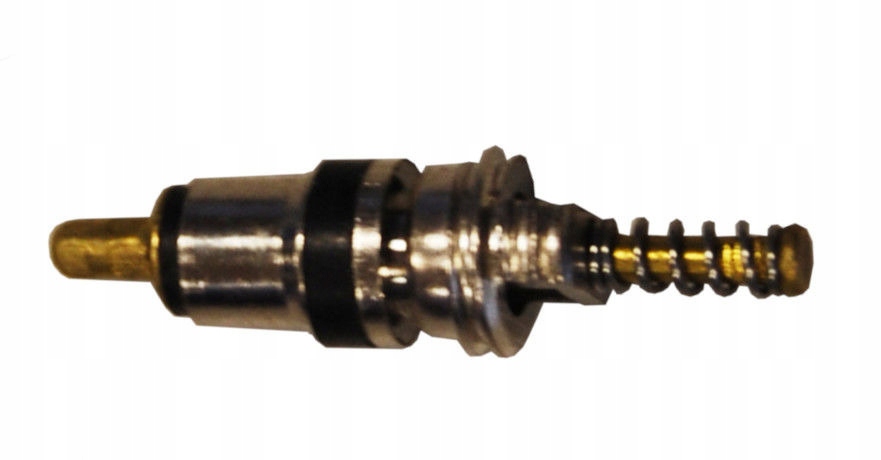 

Zaworek Serwisowy Renault 18,35 x 5,1 mm