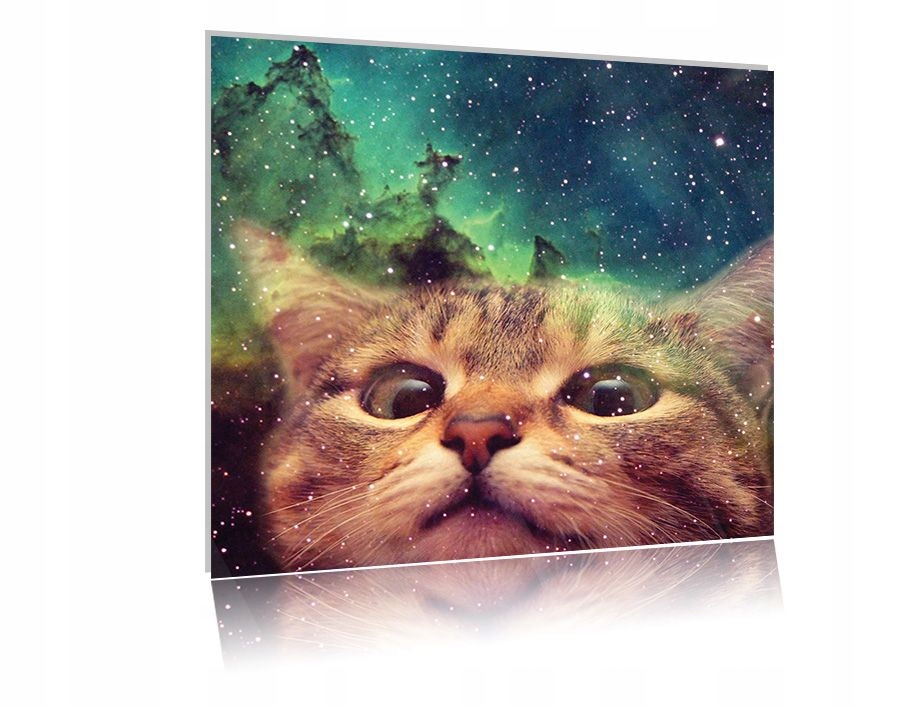 

Obraz szklany na szkle Kot 10 50x50