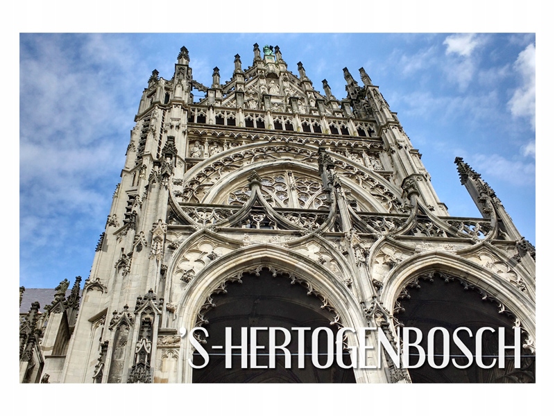 

’s-Hertogenbosch katedra perspektywa Magnes