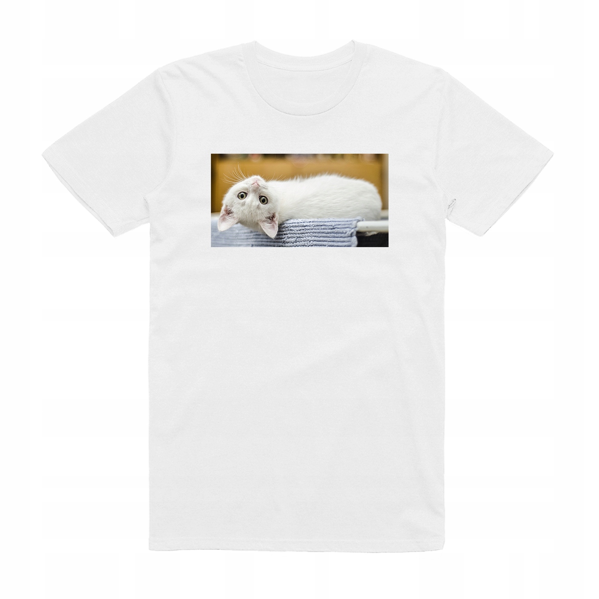 

M - Koszulka T-shirt Kot Kociak Z Kotem Cat Koci