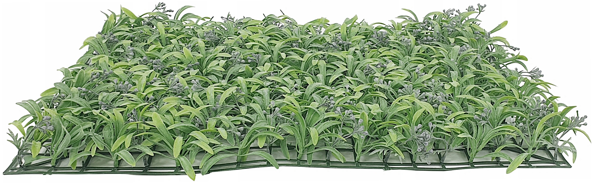 MATA ZIELONE ROŚLINY 40X60 cm ŻYWOPŁOT liście Zastosowanie dekoracja ściany