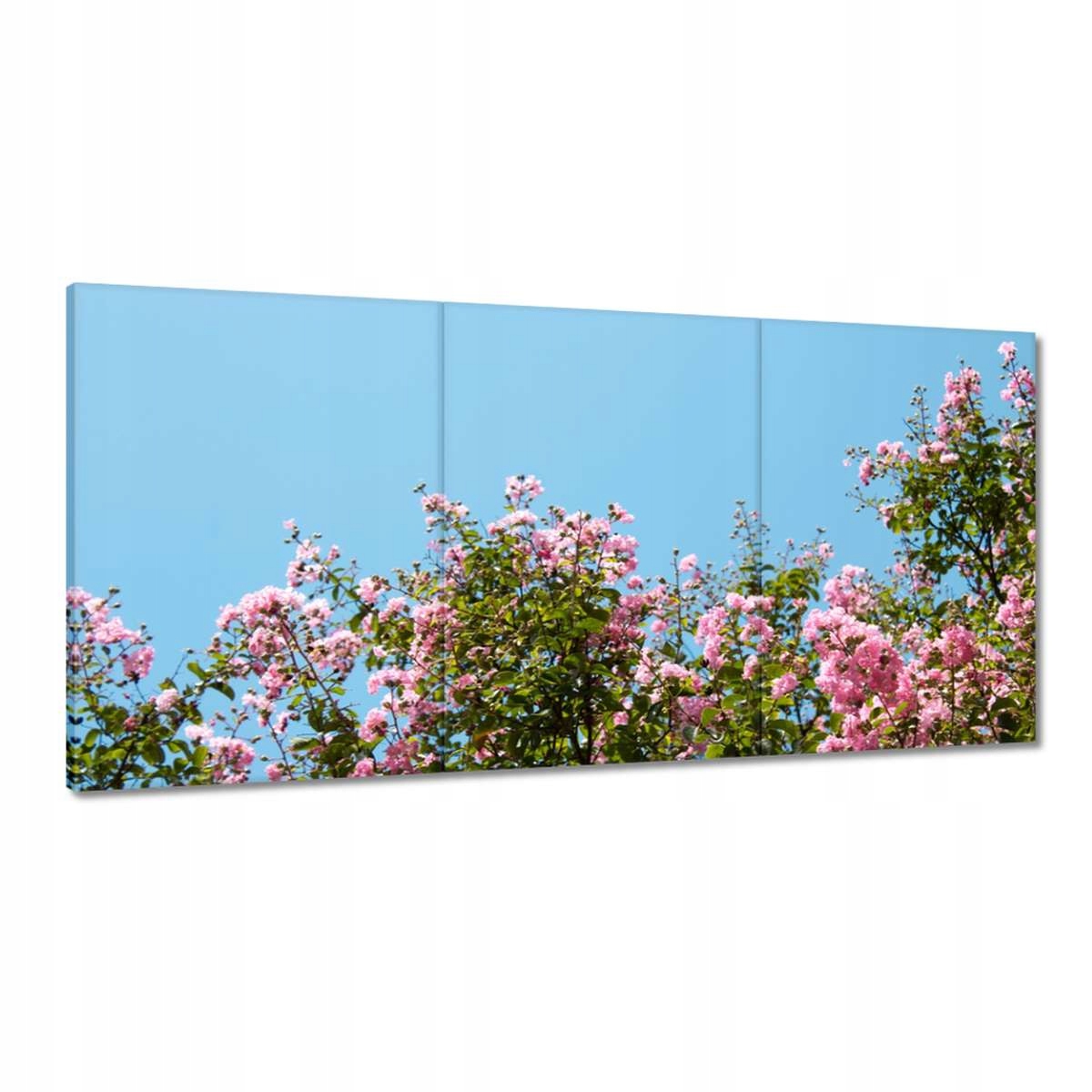 Obrazy 180x90 Kvietky Kvety Kvetinky