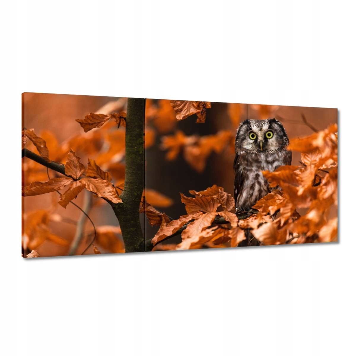 Obrazy 180x90 Zvieratá Zvieratká