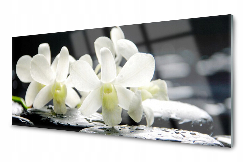 Skleněný panel do kuchyně Květiny Orchidej 125x50