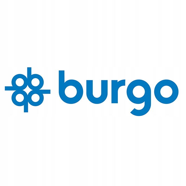 Papier BURGO 350 g/m² 400 arkuszy