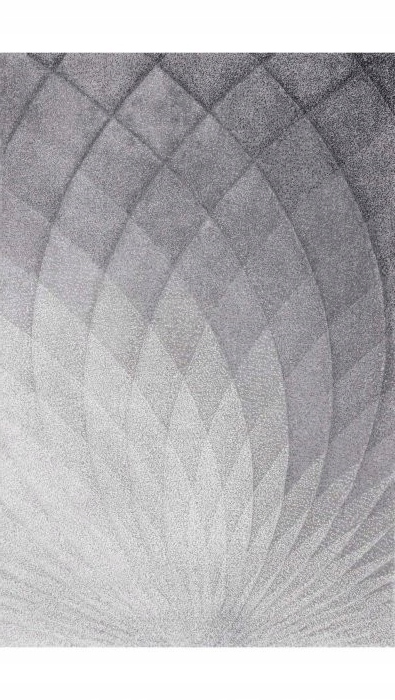 Koberec s měkkým vlasem 120 x 170 cm