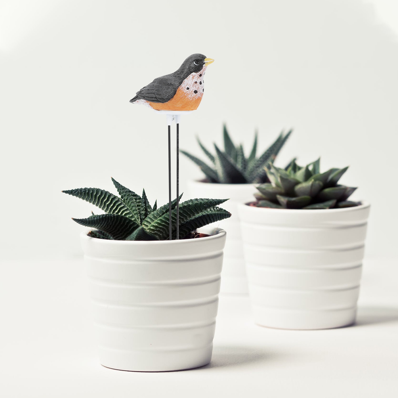 WODOMIERZ WSKAŹNIKA ROŚLIN DLA ROŚLIN Marka bez marki